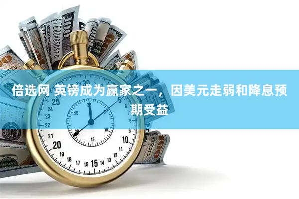 倍选网 英镑成为赢家之一,因美元走弱和降息预期受益