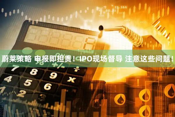蔚莱策略 申报即担责!IPO现场督导 注意这些问题!