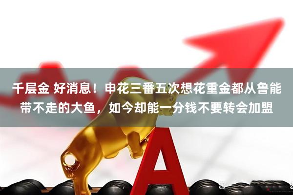 千层金 好消息!申花三番五次想花重金都从鲁能带不走的大鱼,如今却能一分钱不要转会加盟