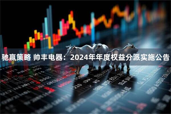 驰赢策略 帅丰电器：2024年年度权益分派实施公告