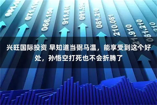 兴旺国际投资 早知道当弼马温，能享受到这个好处，孙悟空打死也不会折腾了